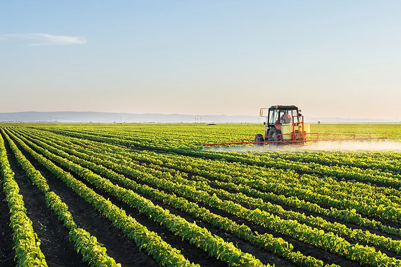 လယ်ယာစိုက်ပျိုးရေး